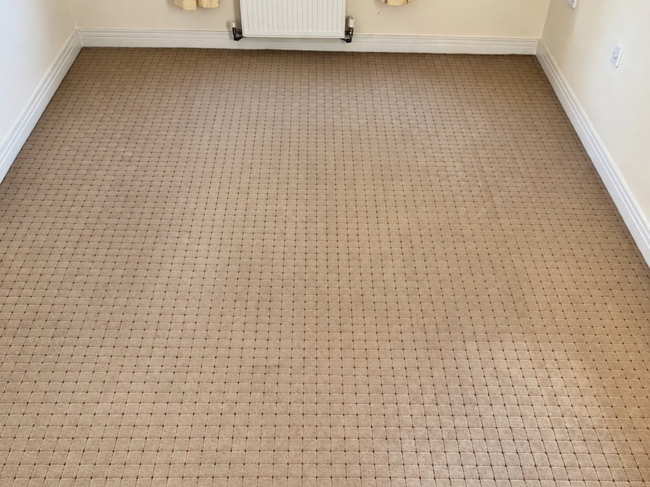 Patterned carpet, empty room, after cleaning