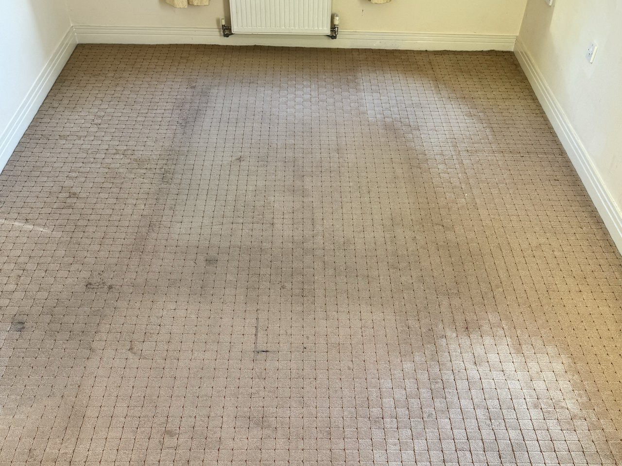 Patterned carpet, empty room, before cleaning